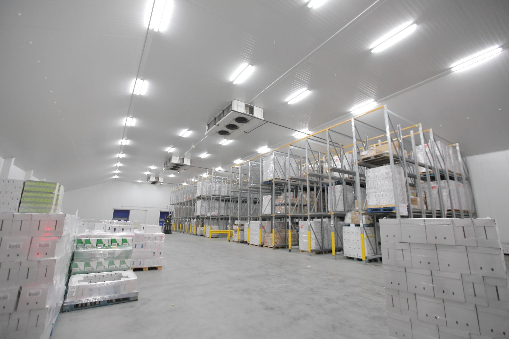 Temperature-controlled cold storage warehouse with pallet racking