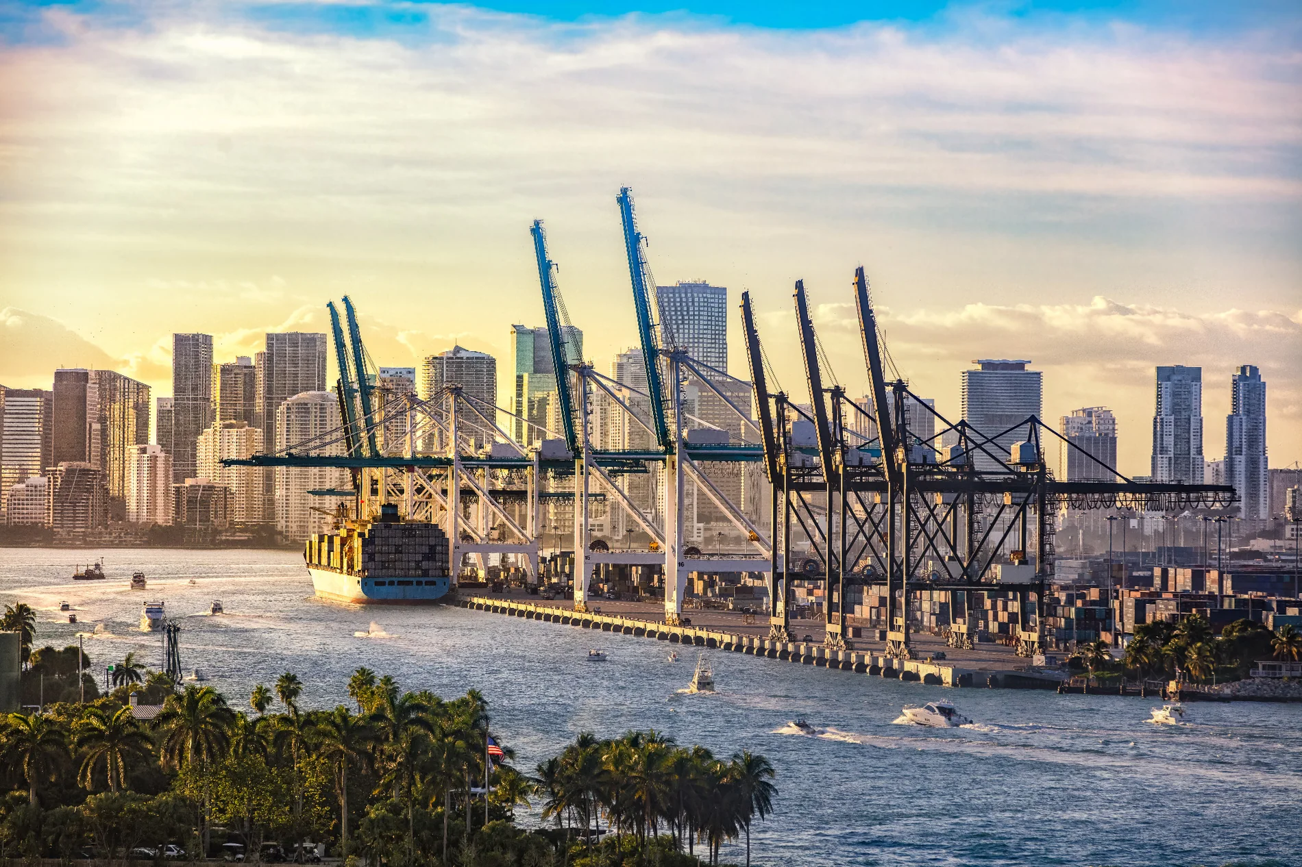 Miami port and skyline